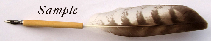 Holder for birds feathers, sold without pen nib and without feather.
