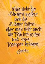 Man sieht die Blumen welken und die Blätter fallen, aber man sieht auch die Früchte reifen und neue Knospen keimen. J. W. v. Goethe